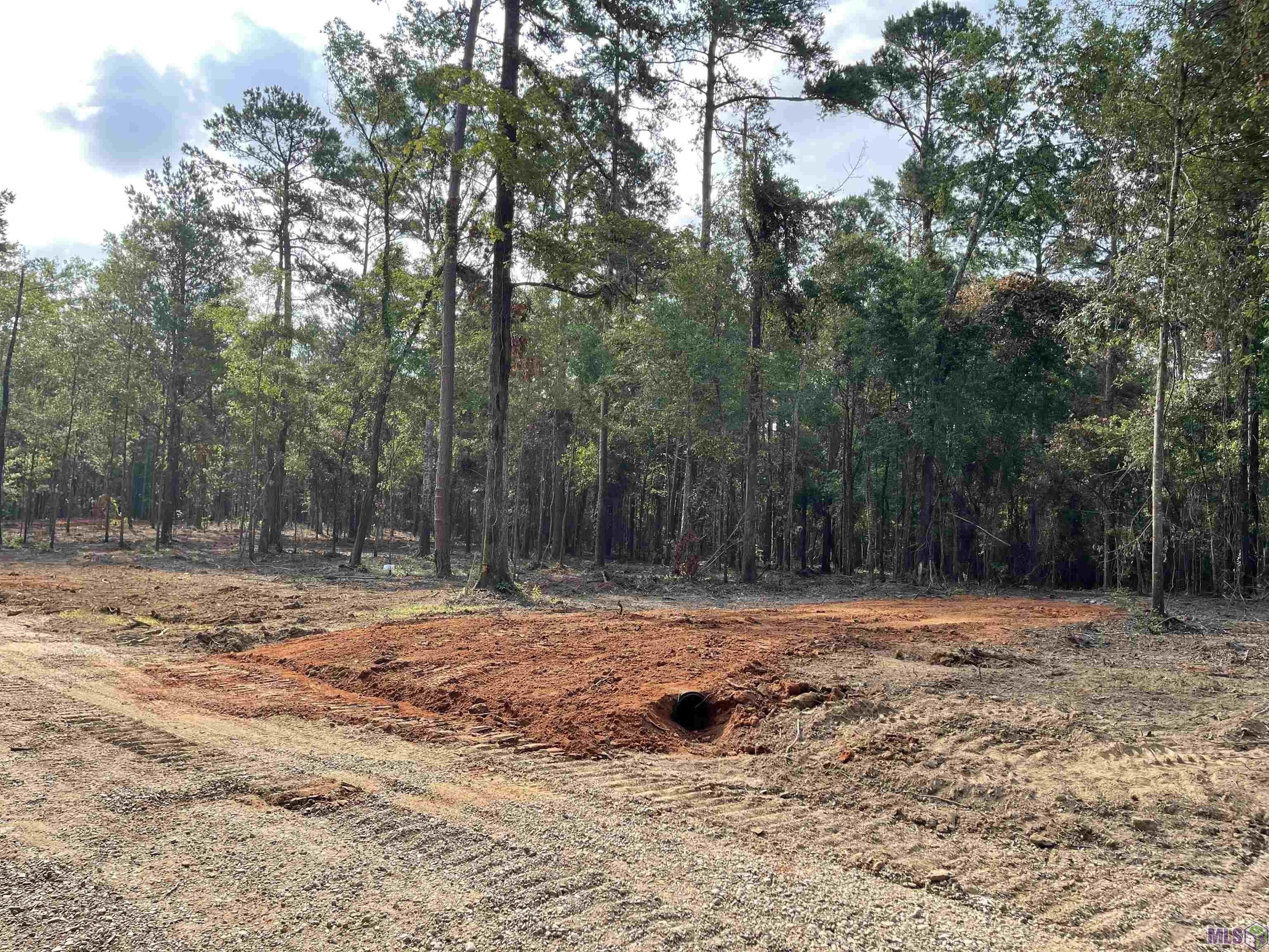 Clinton, East Feliciana Parish, LA Farms and Ranches, Homesites for