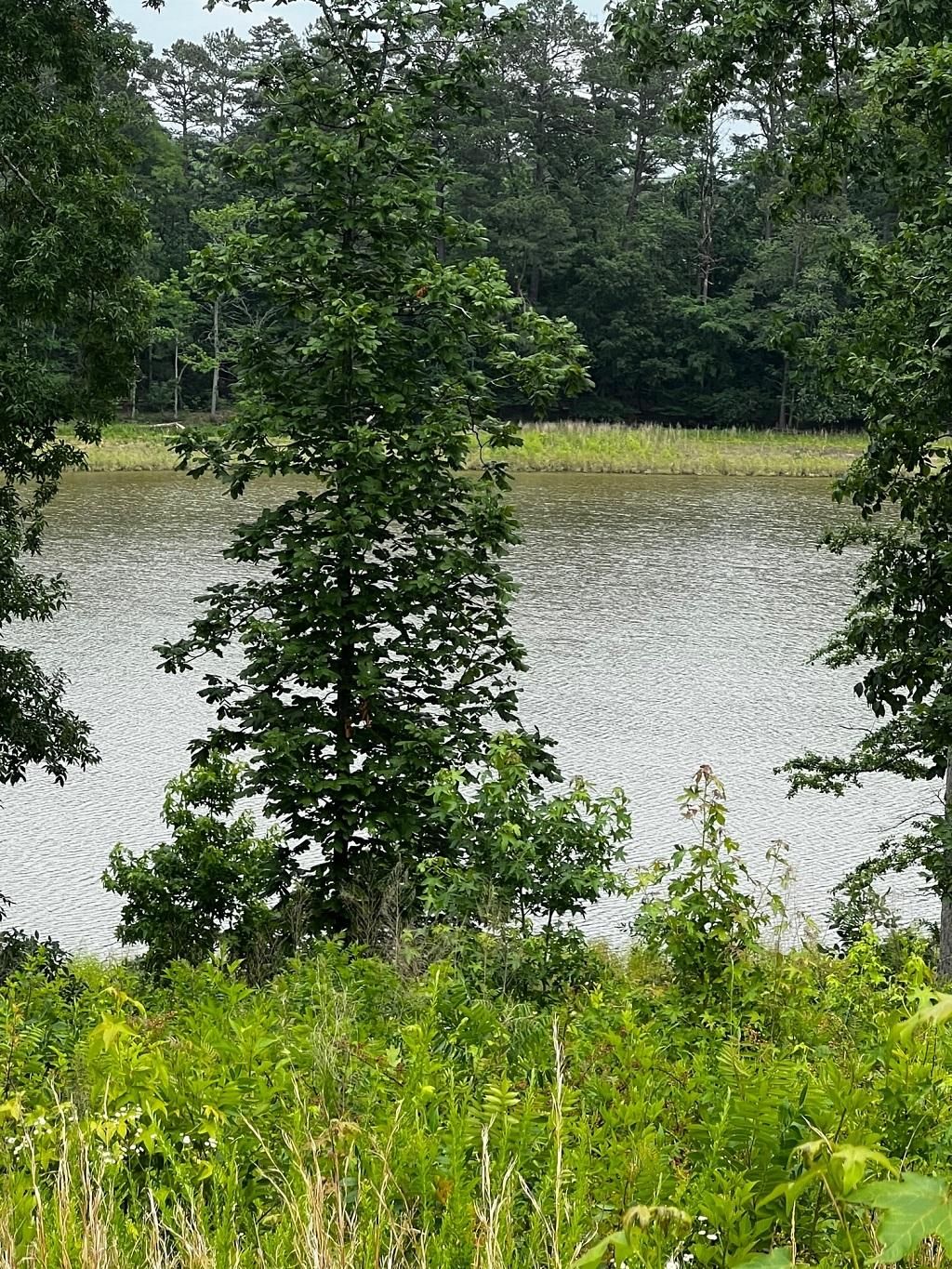 Lilesville, Anson County, NC Recreational Property, Lakefront Property