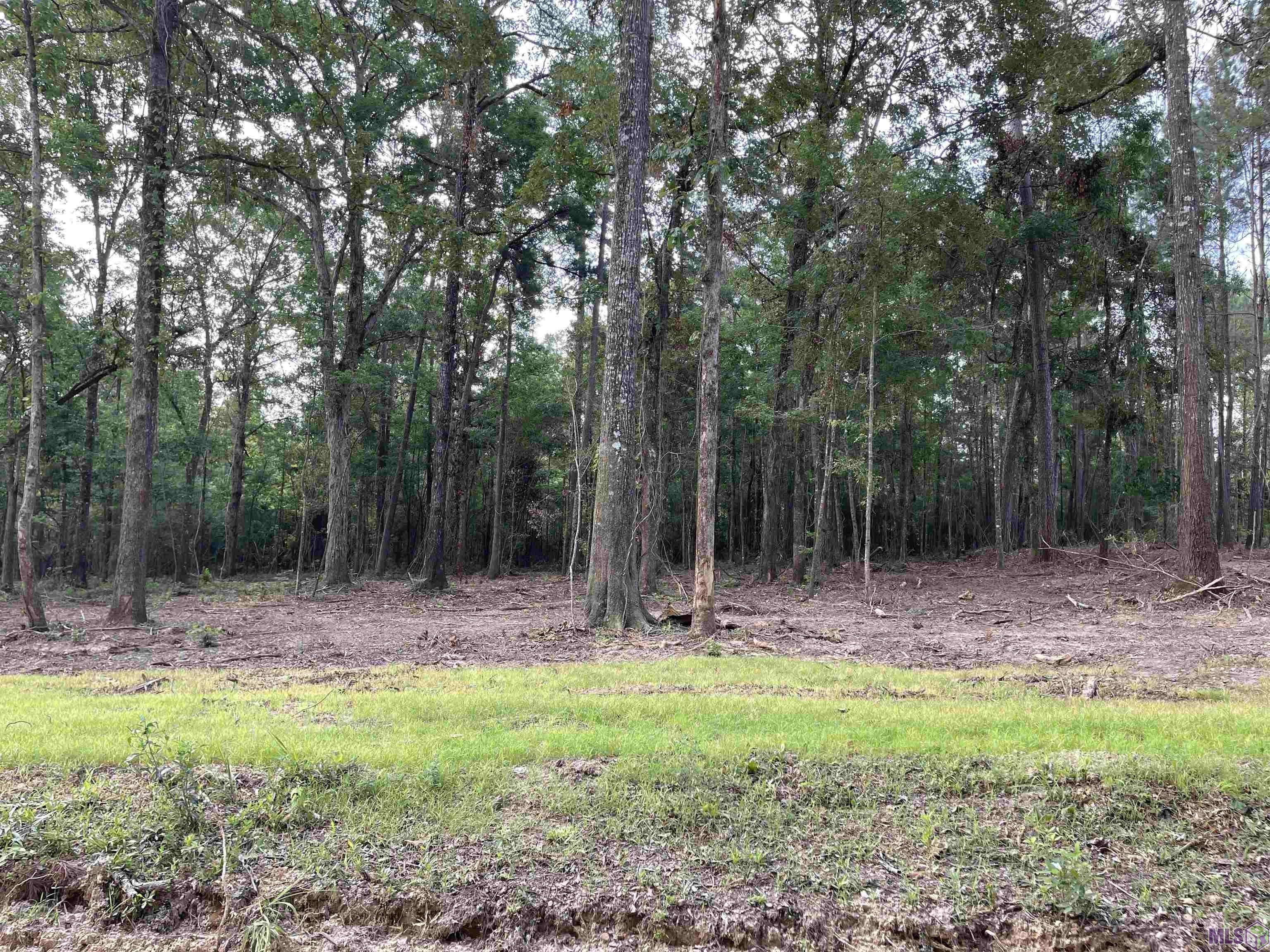 Clinton, East Feliciana Parish, LA Farms and Ranches for sale Property