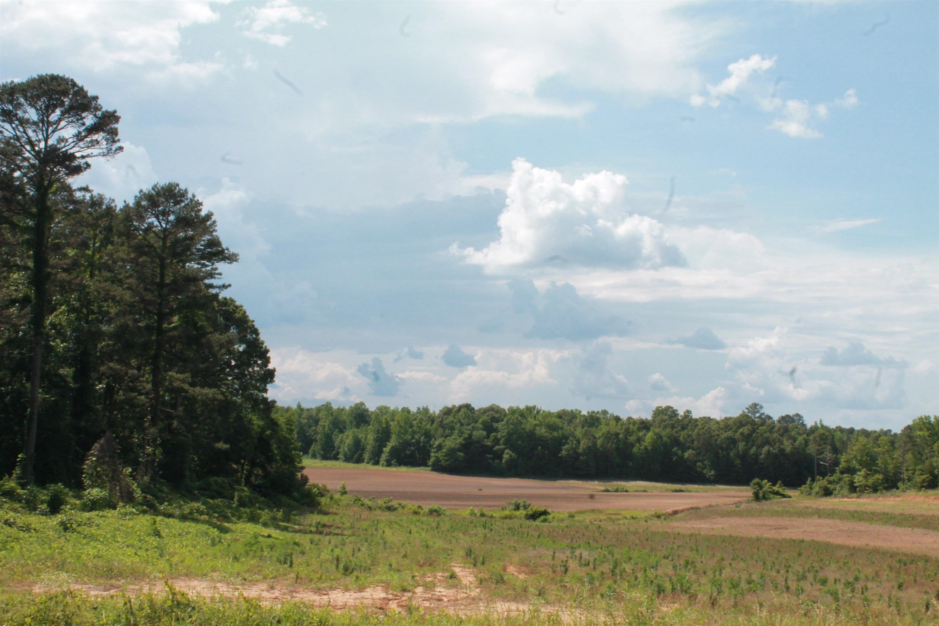 Bethel Springs, McNairy County, TN Undeveloped Land for sale Property ID 413113194 LandWatch