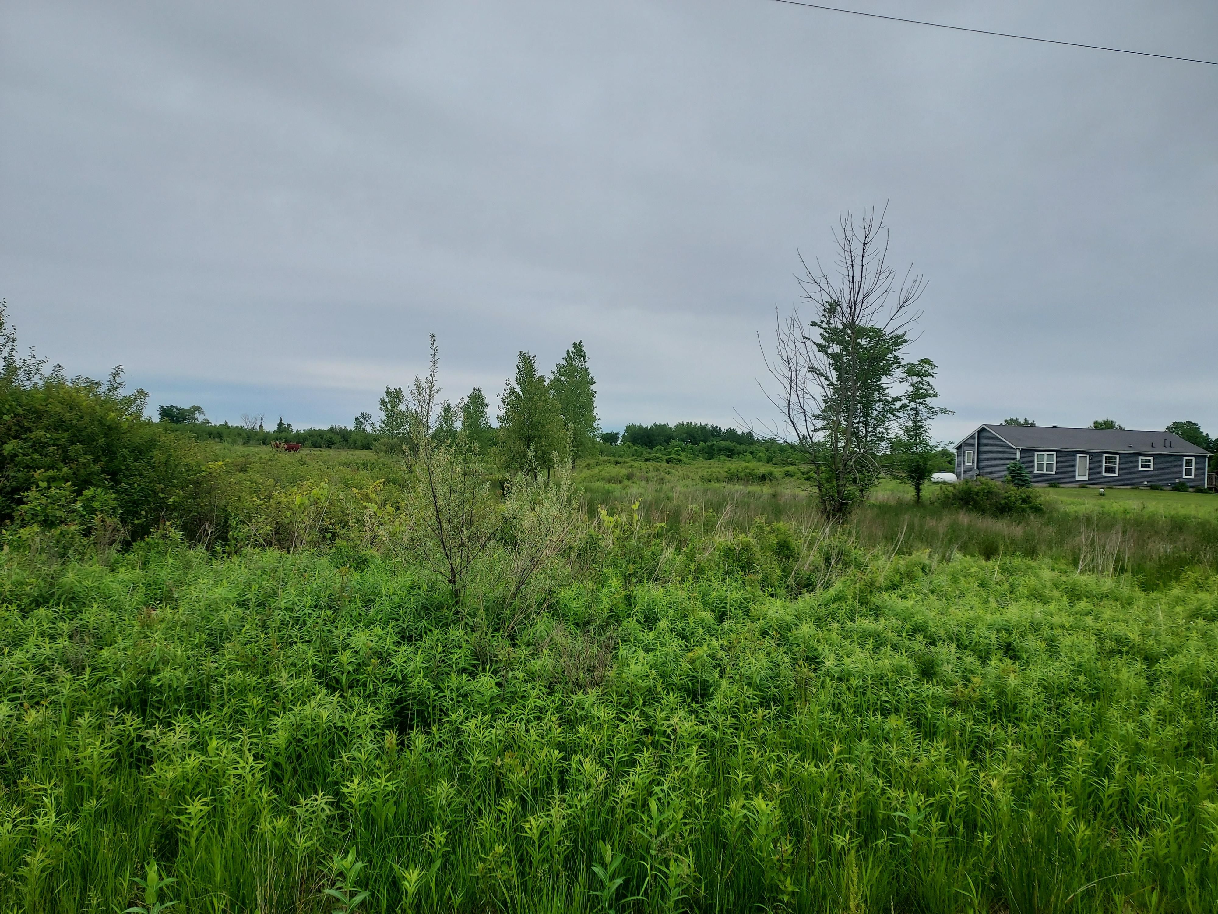 Jeddo, Sanilac County, MI Recreational Property, Undeveloped Land