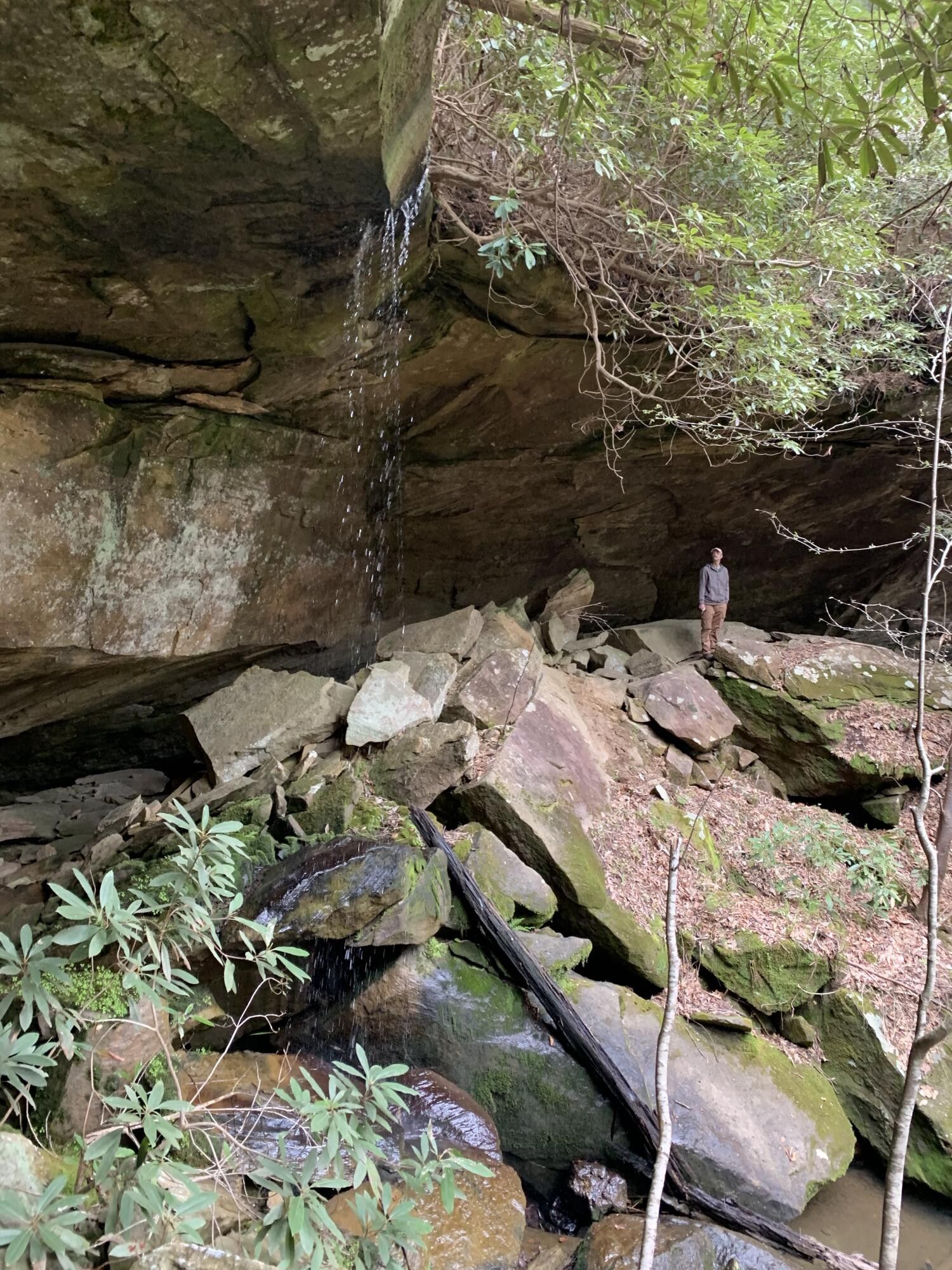 Morehead, Rowan County, KY Farms and Ranches for sale Property ID 413833456 LandWatch