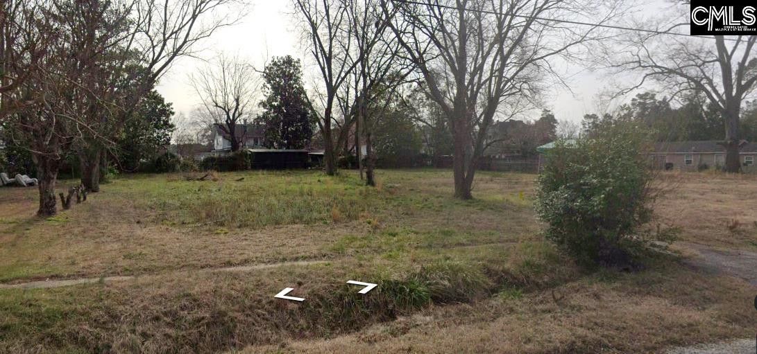 Latta, Dillon County, SC Undeveloped Land, Homesites for sale Property