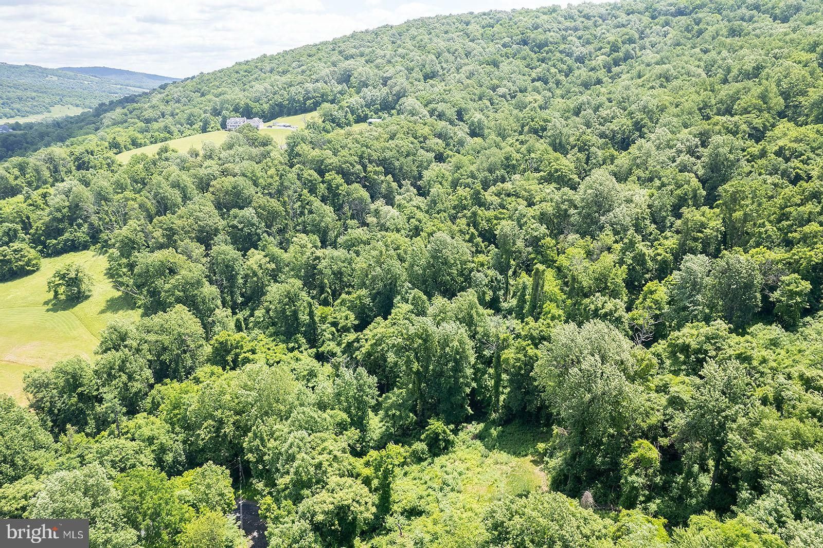 Front Royal, Warren County, VA Undeveloped Land for sale Property ID