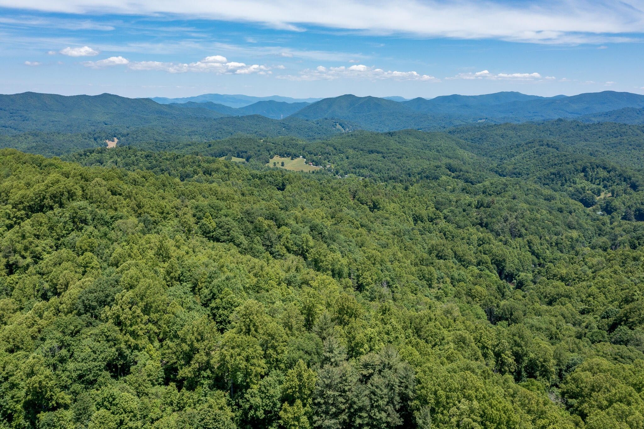 Unicoi, Unicoi County, TN Undeveloped Land for sale Property ID