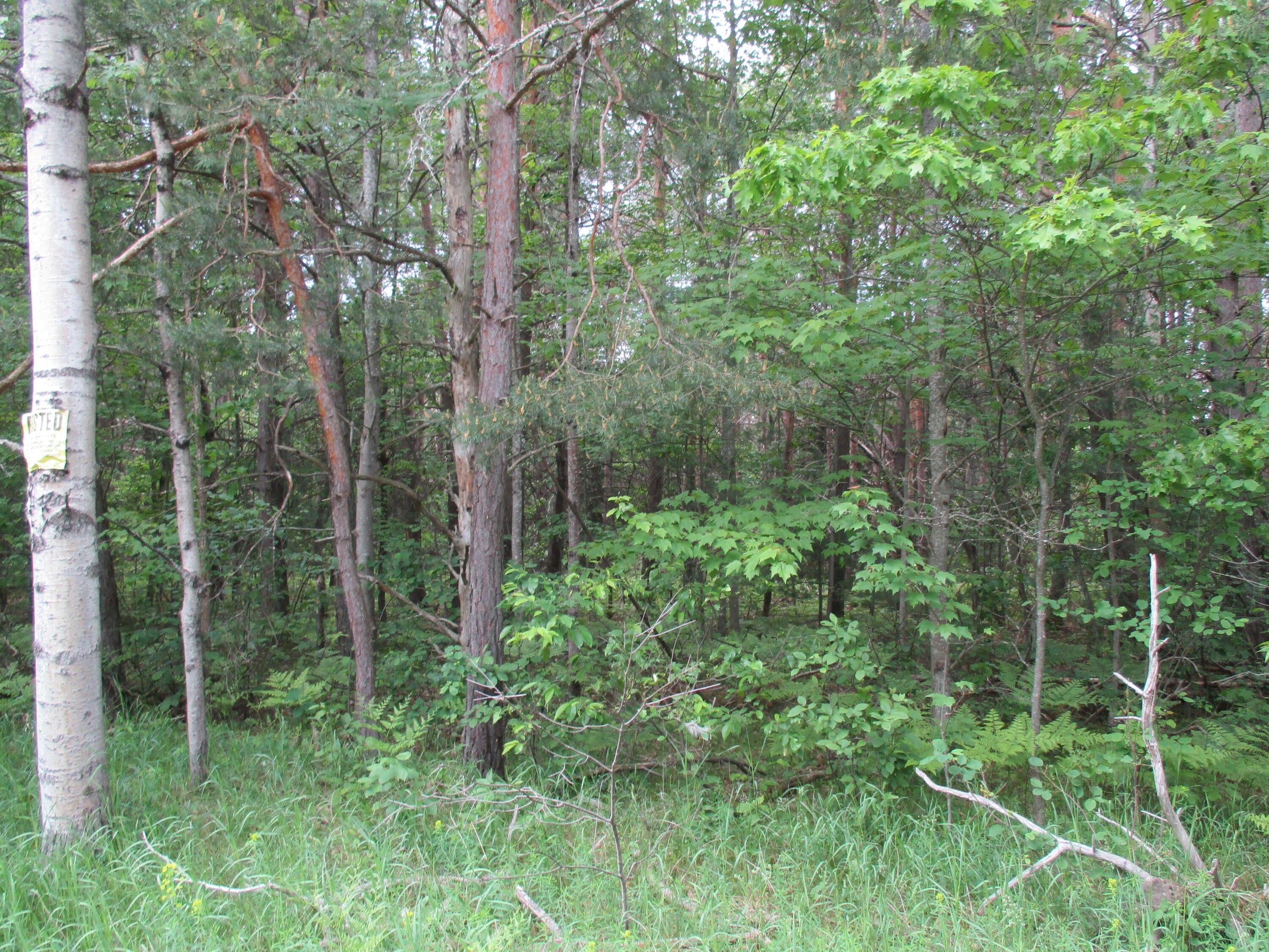 Crawford County, MI Undeveloped Land for sale Property ID