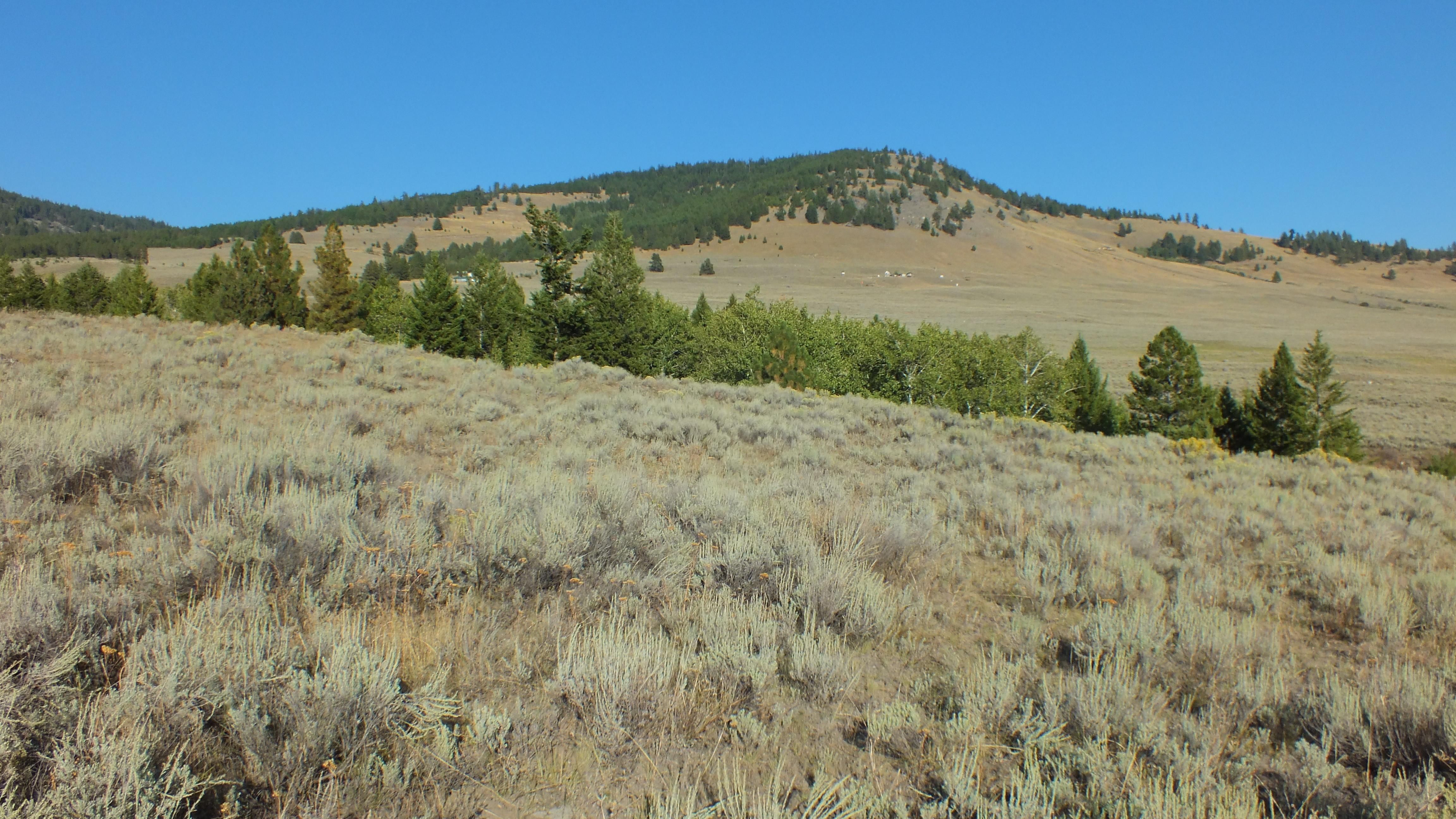 Tonasket, Okanogan County, WA Recreational Property, Horse Property for