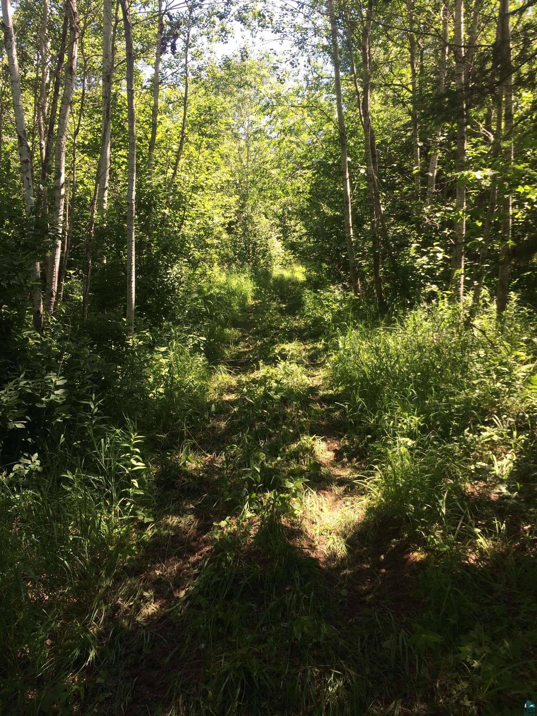 Oulu, Bayfield County, WI Undeveloped Land for sale Property ID
