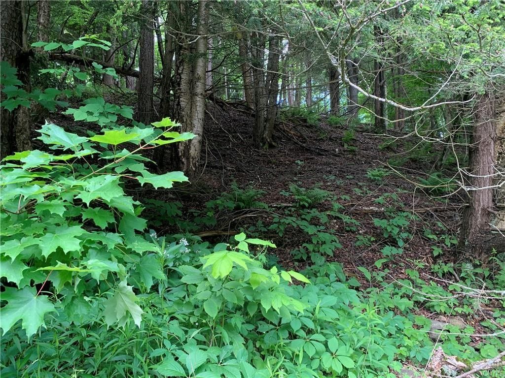 Homer, Cortland County, NY Undeveloped Land for sale Property ID 413877952 LandWatch