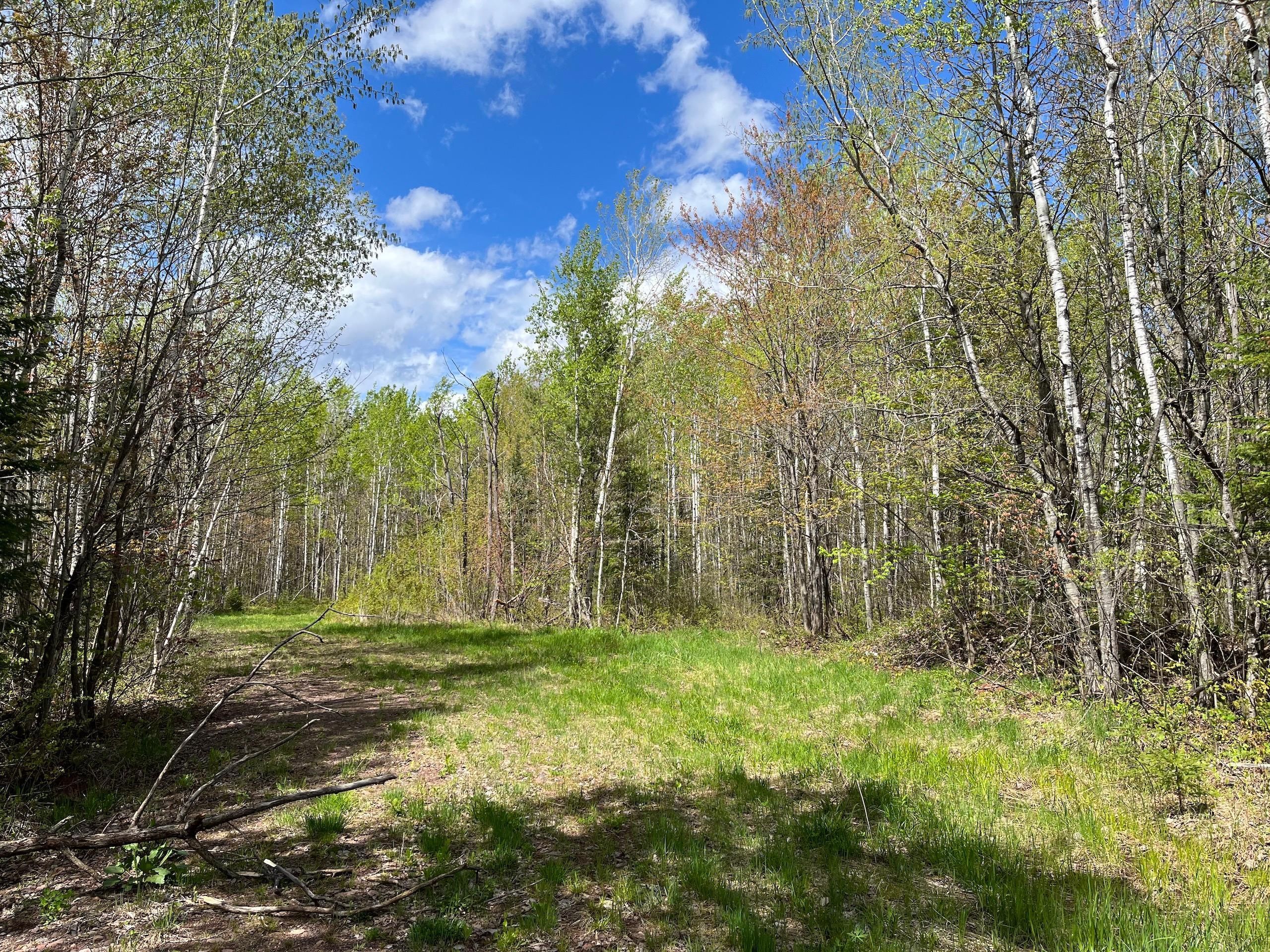 Mellen, Ashland County, WI Recreational Property, Hunting Property for