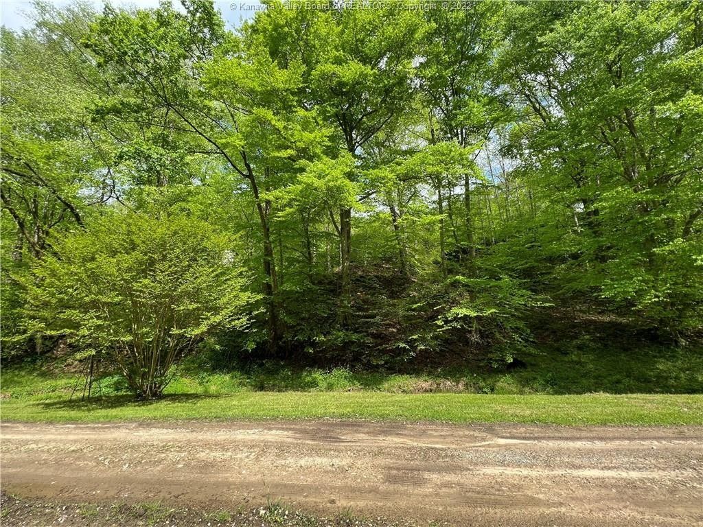 Danville, Boone County, WV Undeveloped Land for sale Property ID