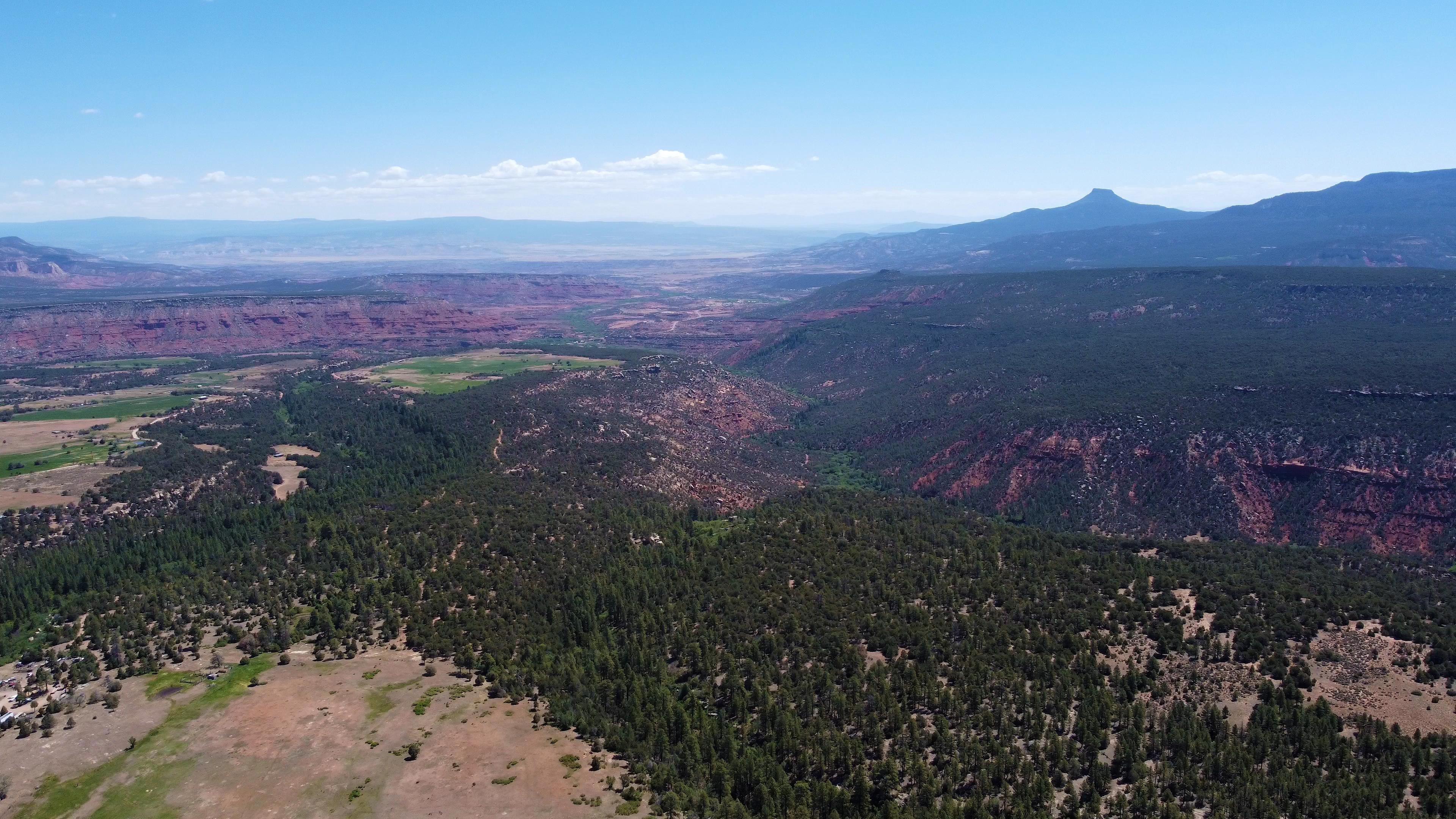 Gallina, Rio Arriba County, NM Recreational Property, Timberland