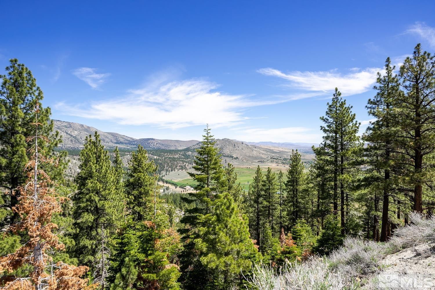 Genoa, Douglas County, NV Undeveloped Land for sale Property ID 413852511 LandWatch