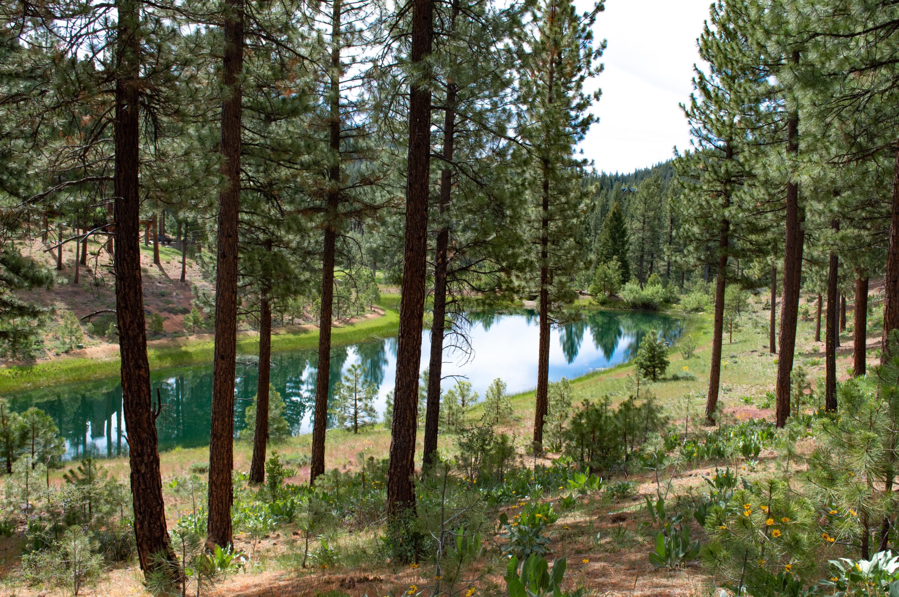 Portola, Plumas County, CA Recreational Property, Undeveloped Land