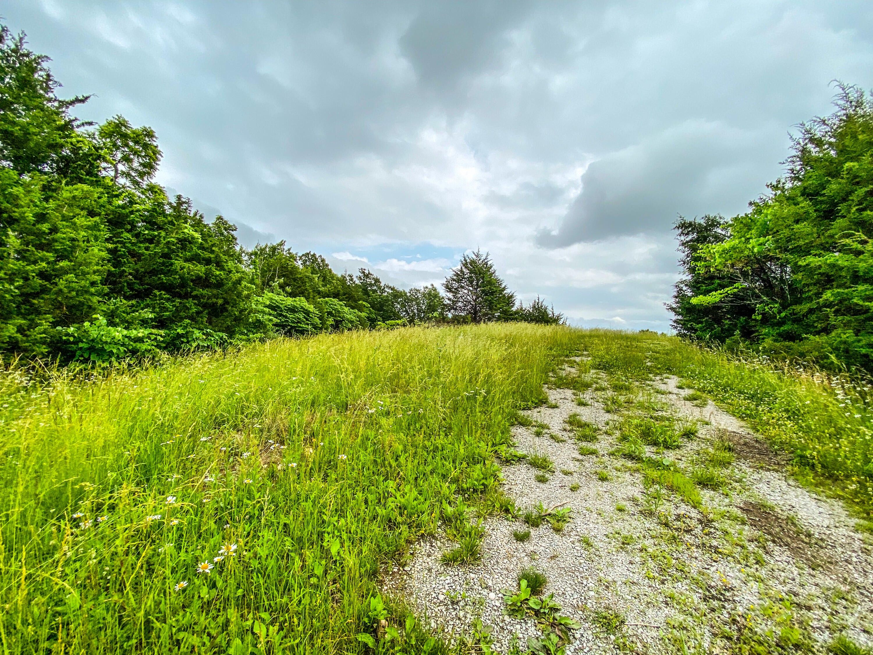 Falmouth, Pendleton County, KY Farms and Ranches for sale Property ID