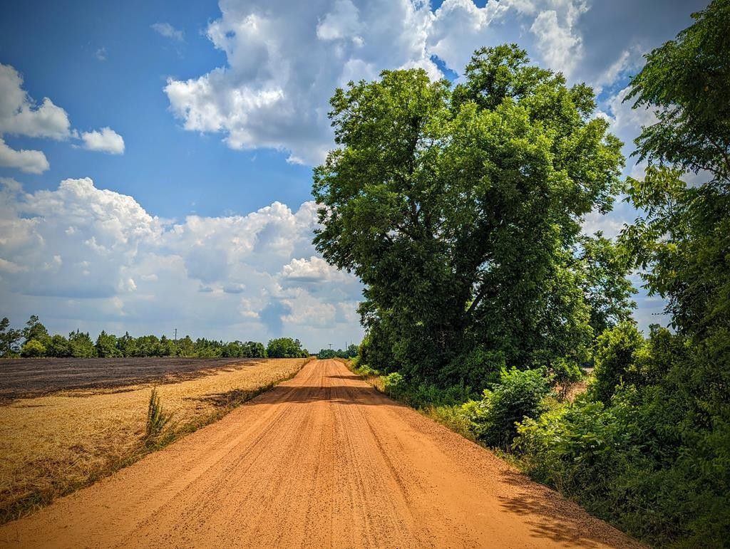 Rebecca, Turner County, GA Farms and Ranches, Lakefront Property
