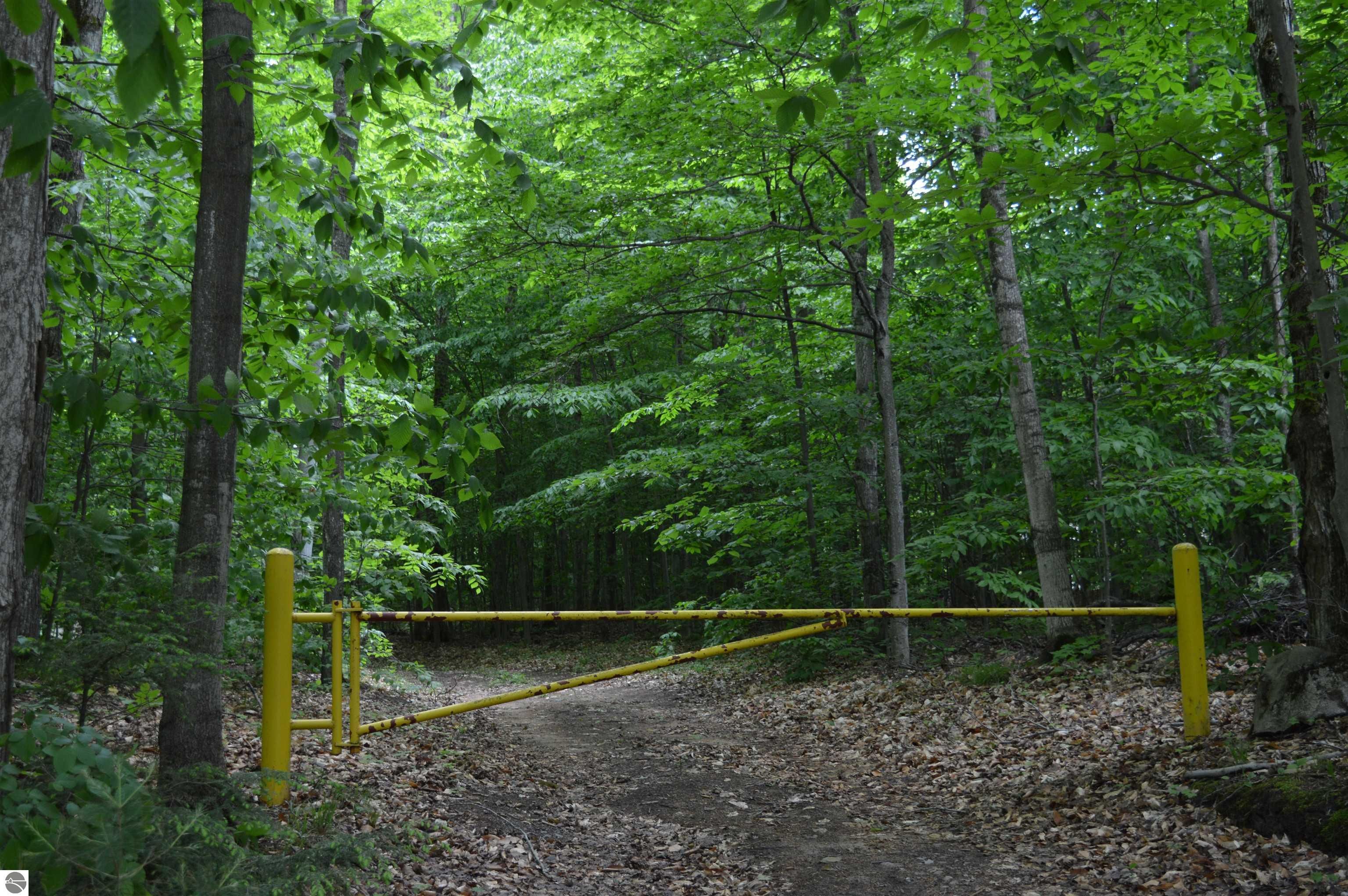 Kalkaska, Kalkaska County, MI Undeveloped Land for sale Property ID