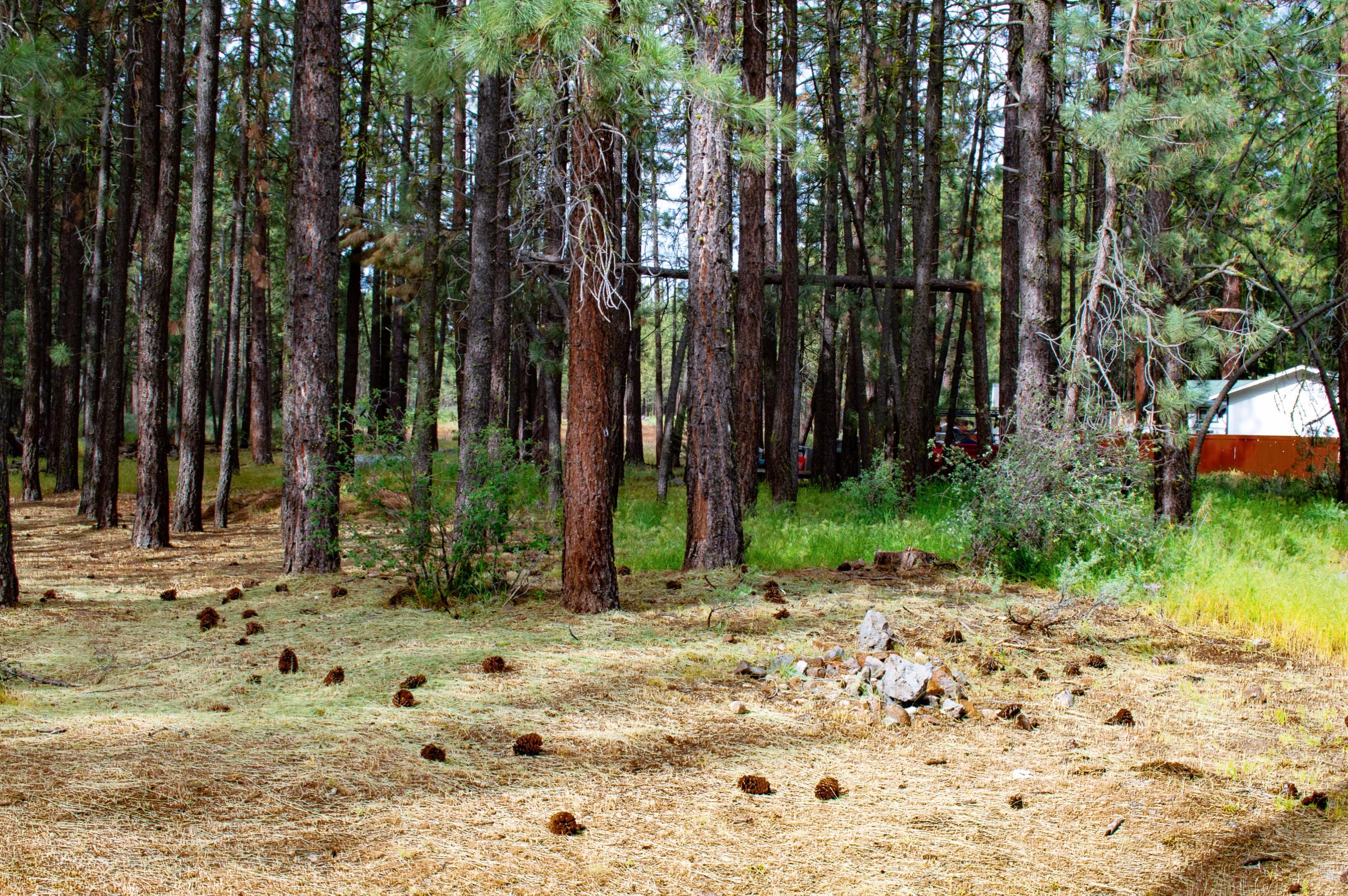 Portola, Plumas County, CA Recreational Property, Undeveloped Land, Homesites for sale Property