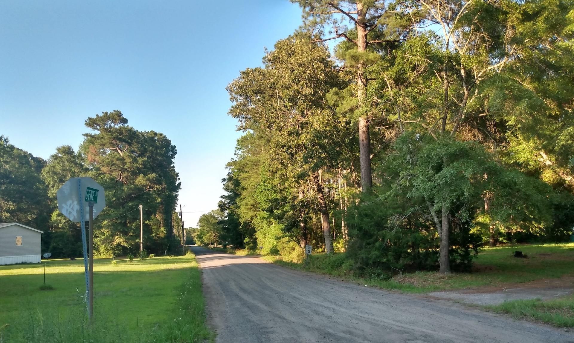 Hemingway, County, SC Undeveloped Land, Homesites for sale