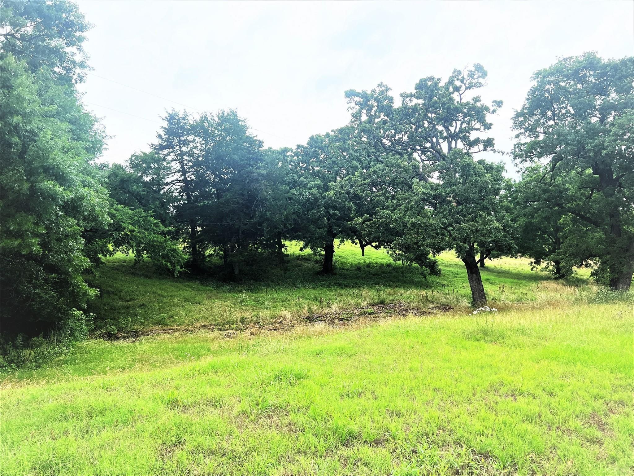 Denison, Grayson County, TX Farms and Ranches, Horse Property for sale