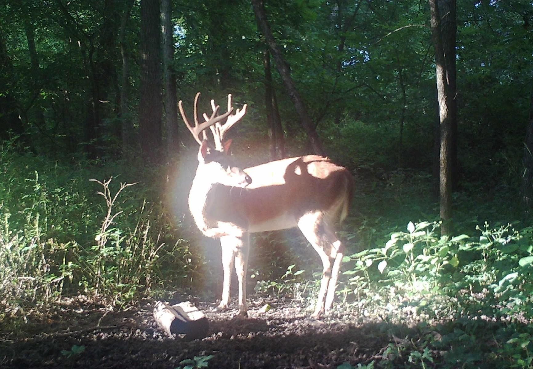Gibbs, Adair County, MO Farms and Ranches, Recreational Property