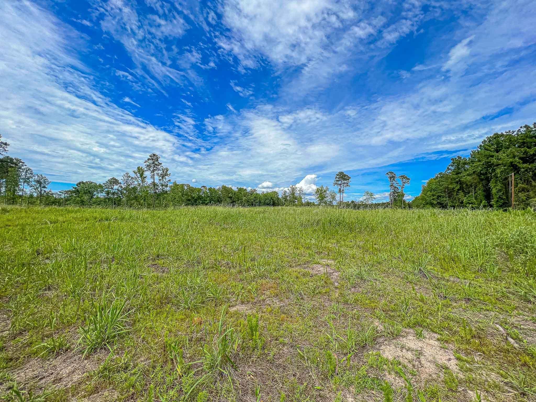 Moore Farm Road, Zavalla, TX 75980 LandWatch