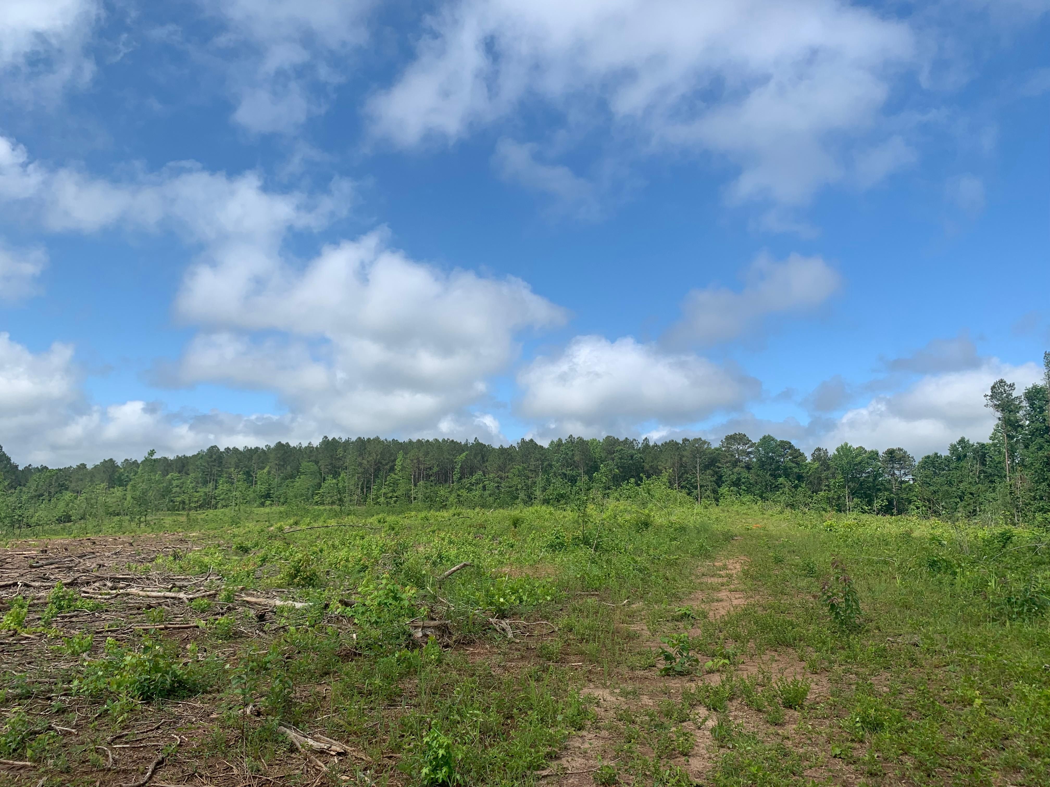 Greensboro, Greene County, GA Recreational Property, Timberland