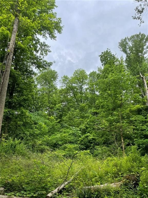 Greencastle, Putnam County, IN Undeveloped Land, Homesites for sale