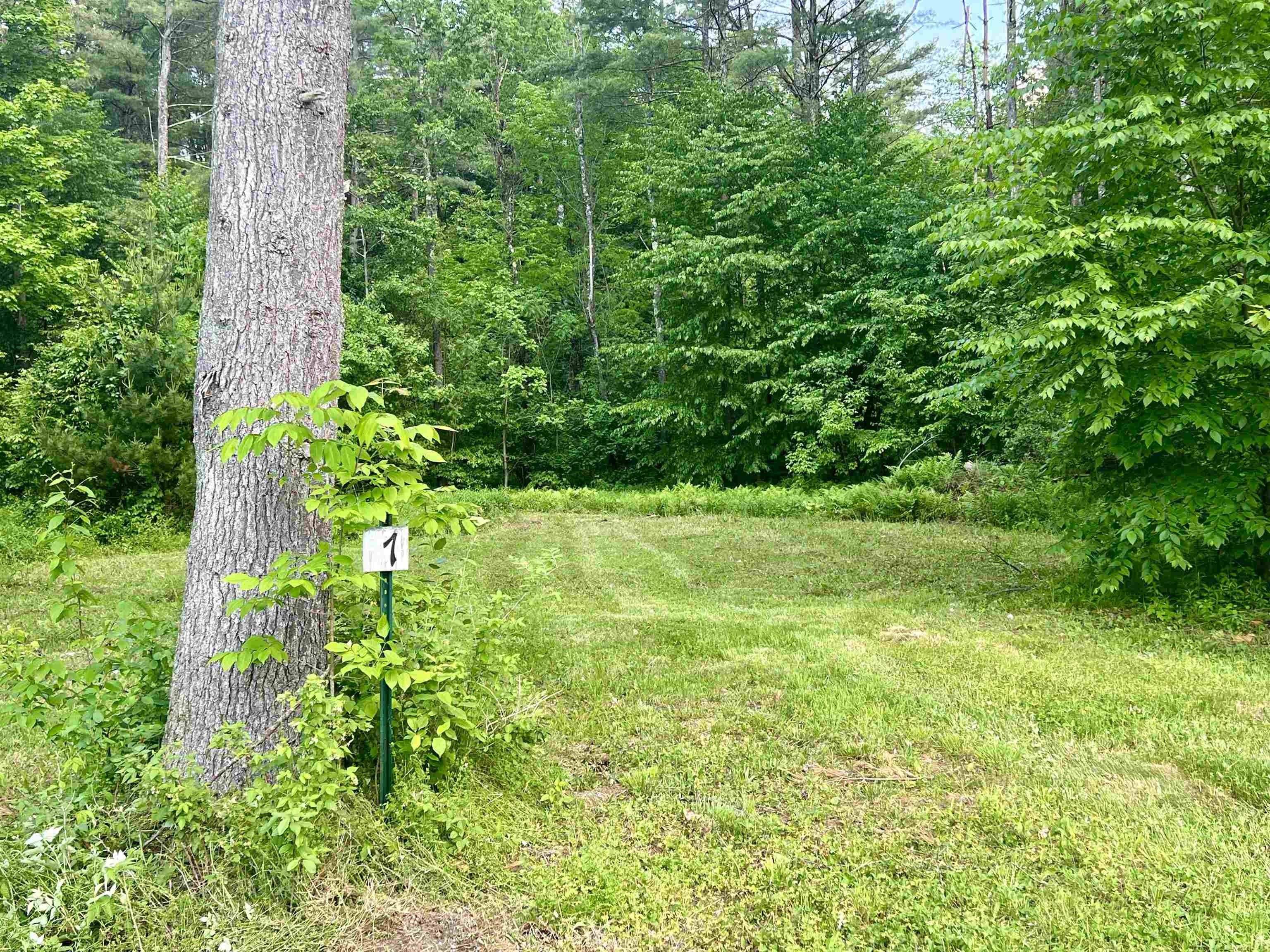 Sunderland, Bennington County, VT Undeveloped Land, Lakefront Property