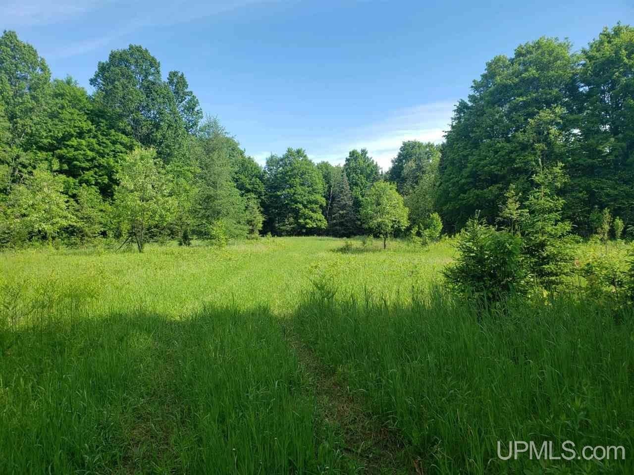 Channing, Dickinson County, MI Undeveloped Land, Lakefront Property