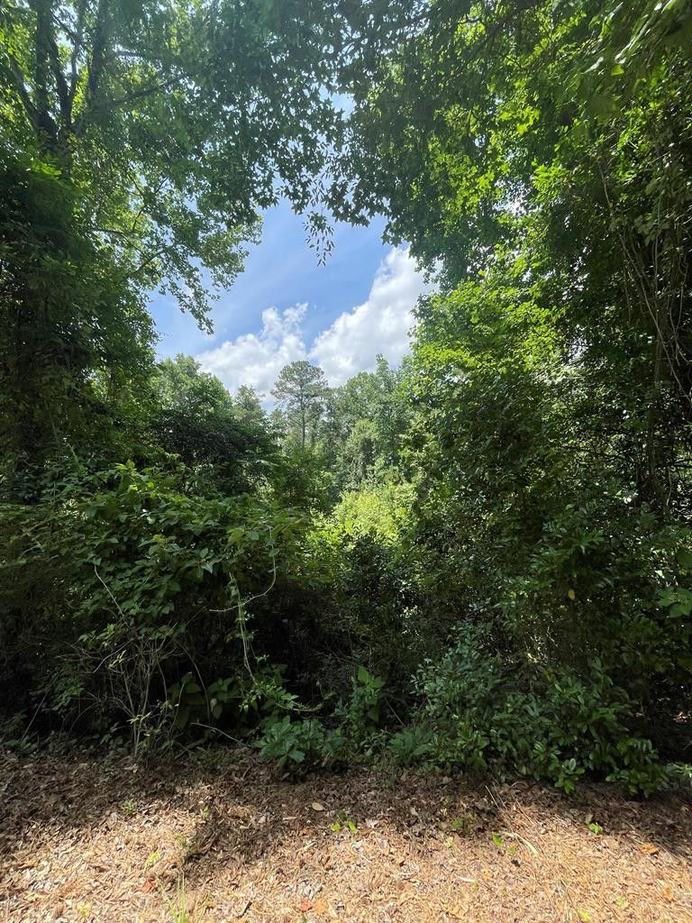 Eufaula, Barbour County, AL Farms and Ranches, Homesites for sale