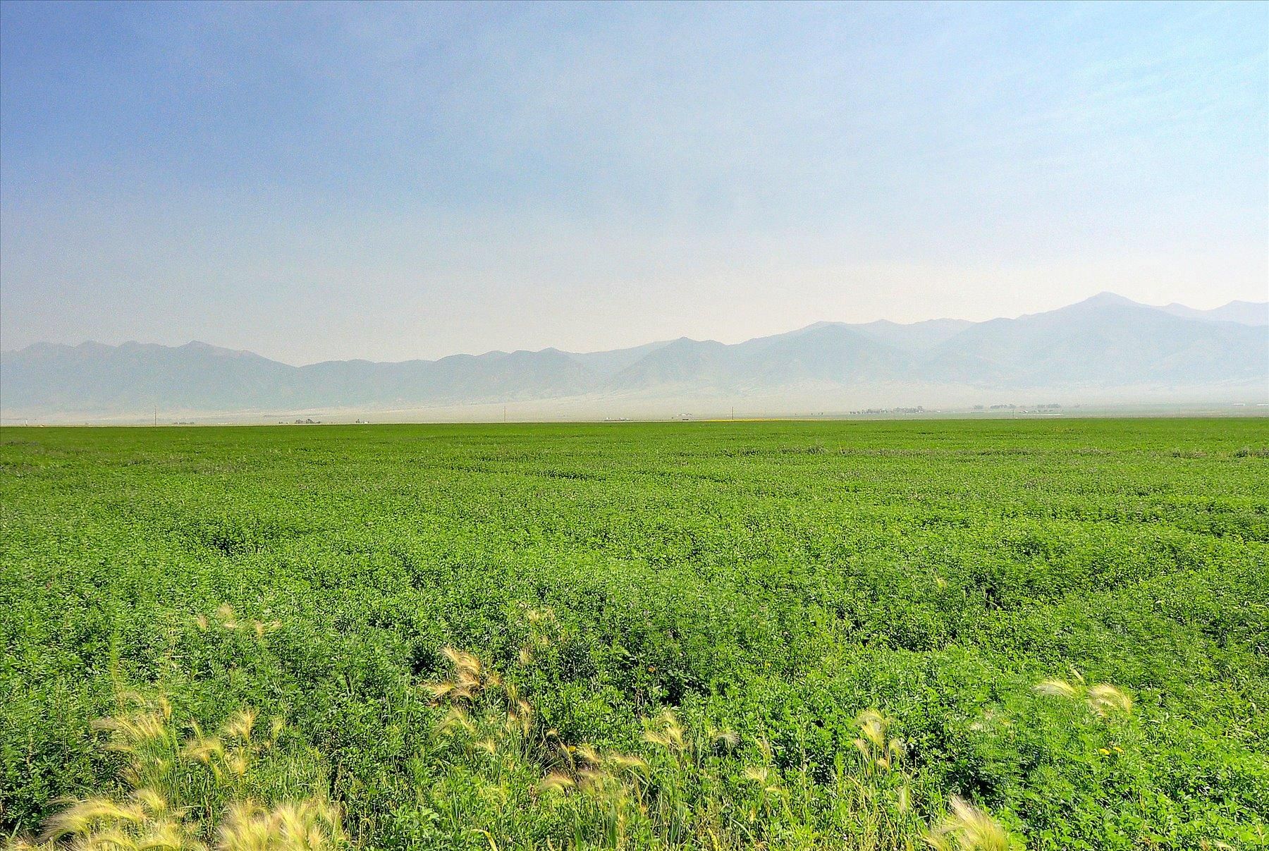 Moffat, Saguache County, CO Farms and Ranches for sale Property ID
