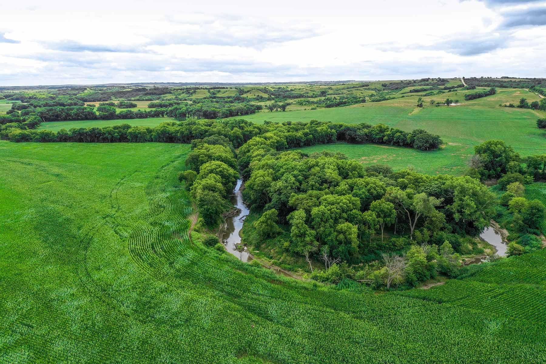 Fairbury, Jefferson County, NE Farms and Ranches for sale Property ID
