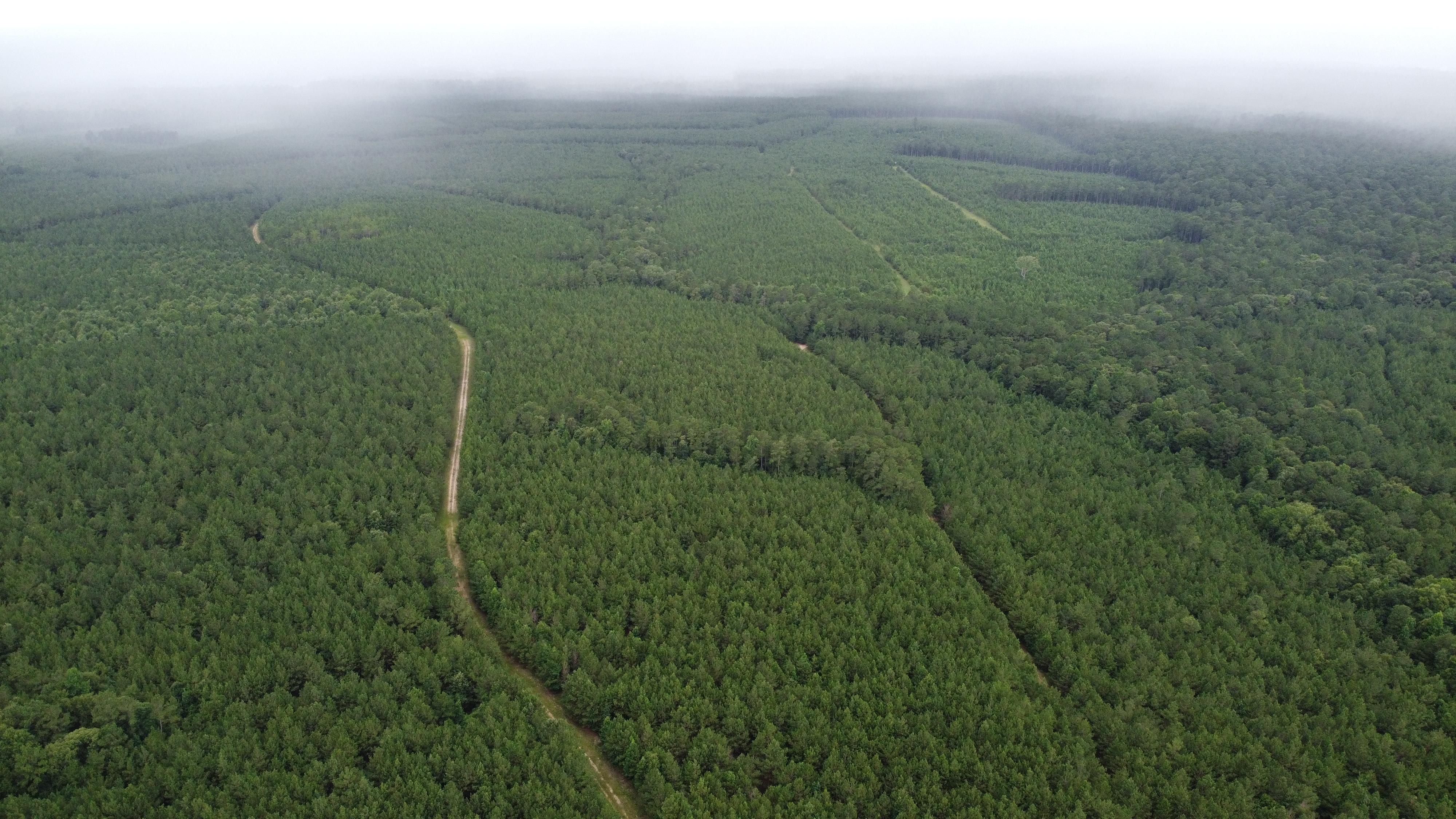 Oakhurst, San Jacinto County, TX Recreational Property, Timberland