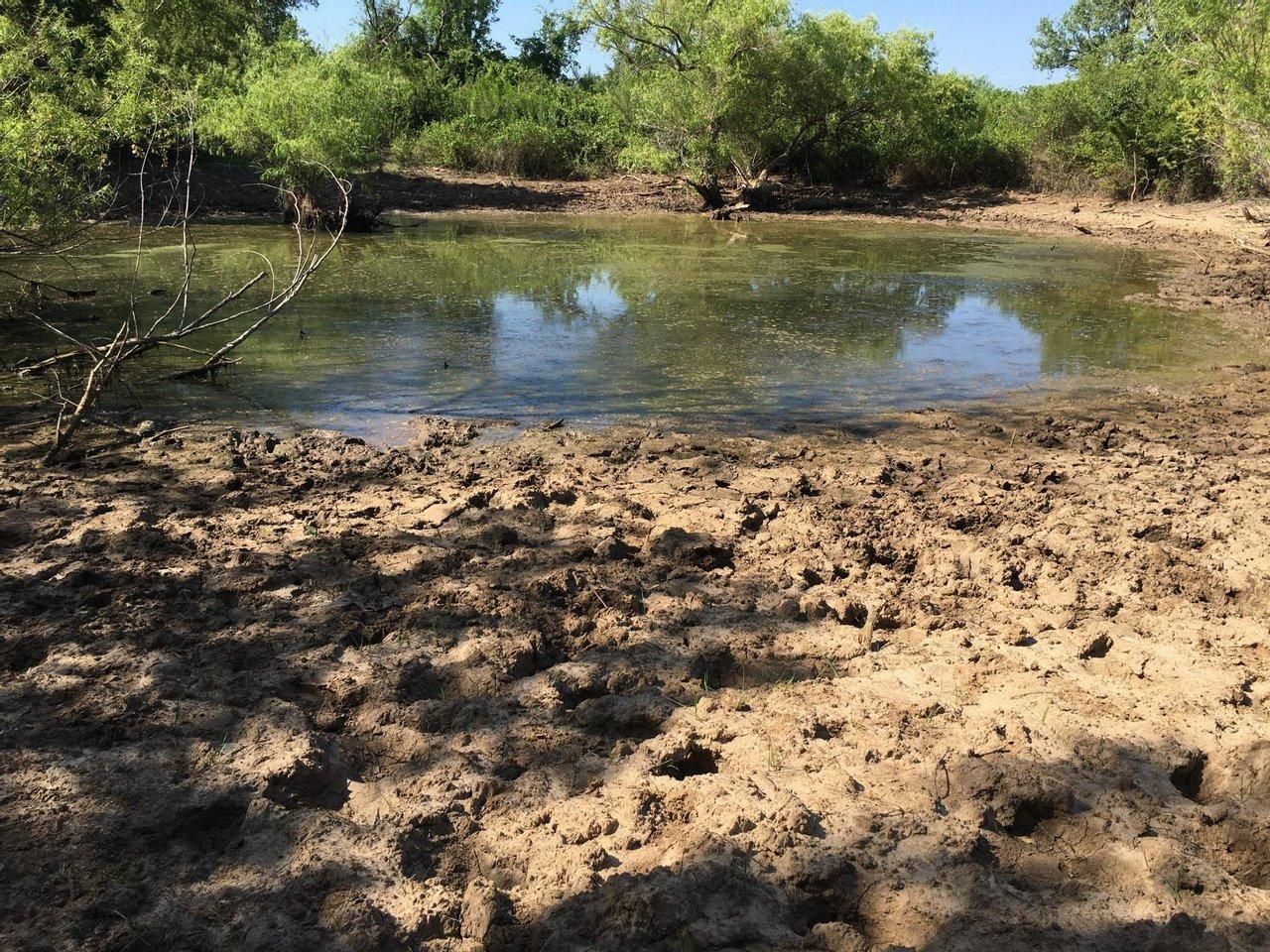 Rising Star, Eastland County, TX Farms and Ranches, Recreational