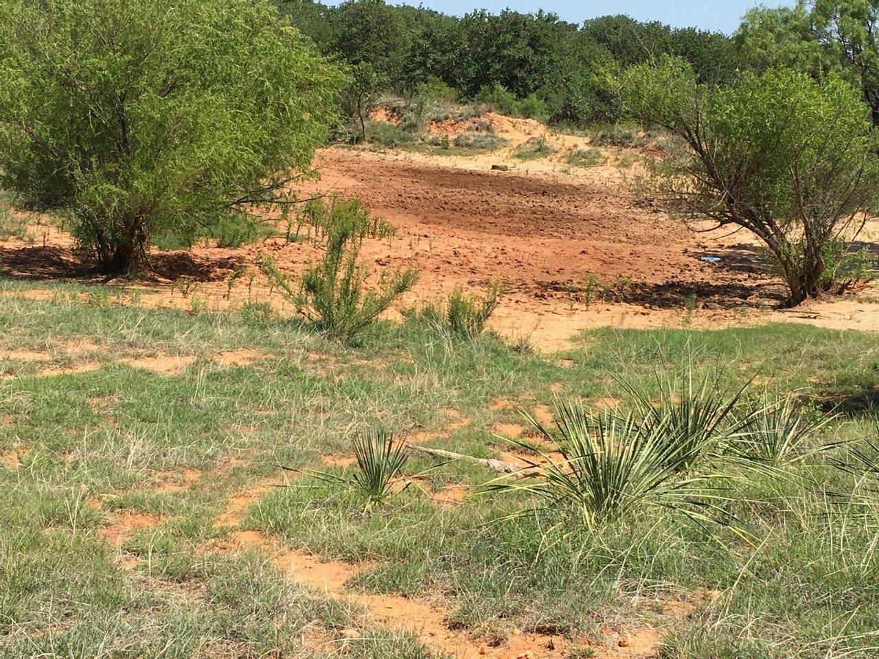 Rising Star, Eastland County, TX Recreational Property, Undeveloped