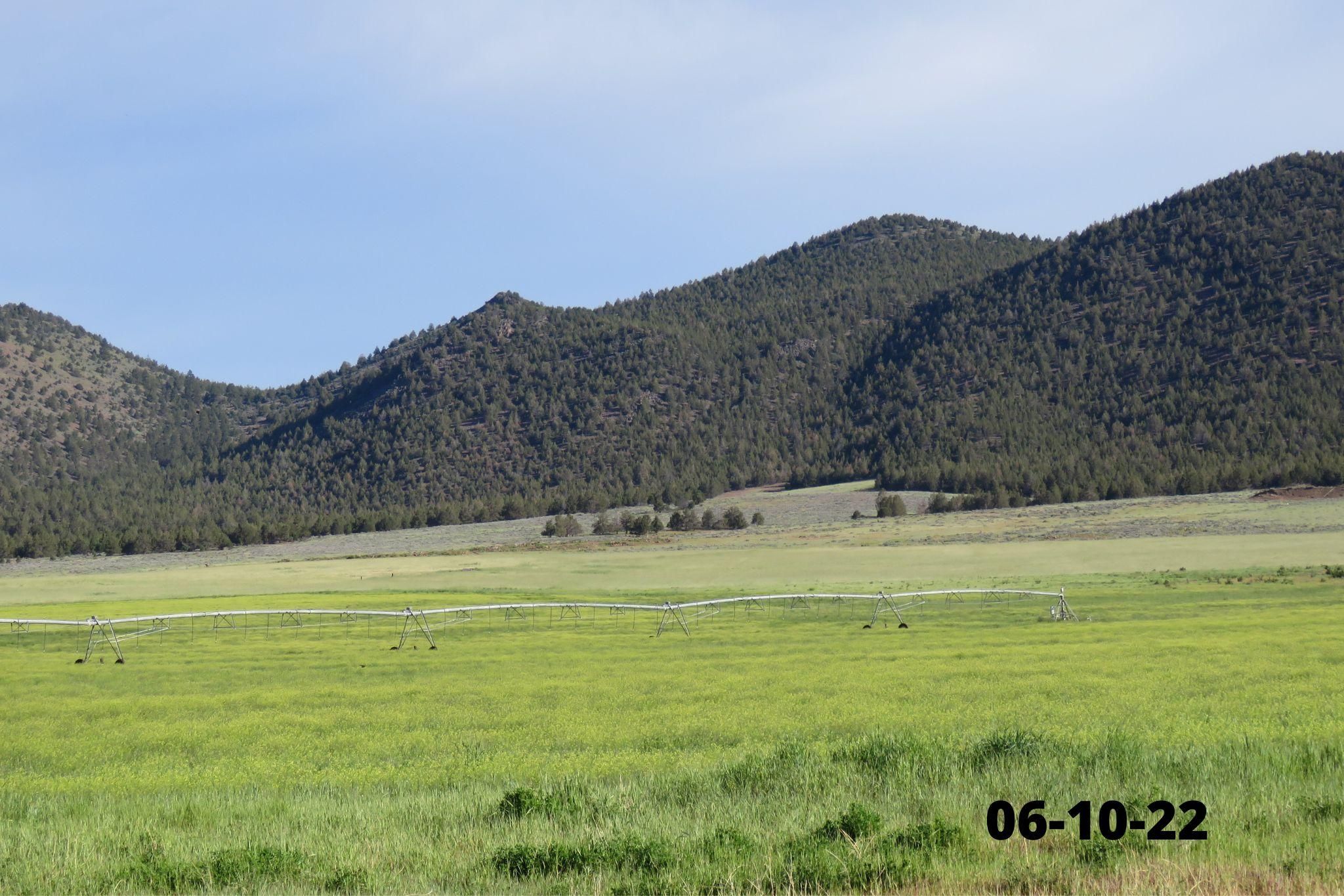 Macdoel, Siskiyou County, CA Farms and Ranches, Hunting Property for