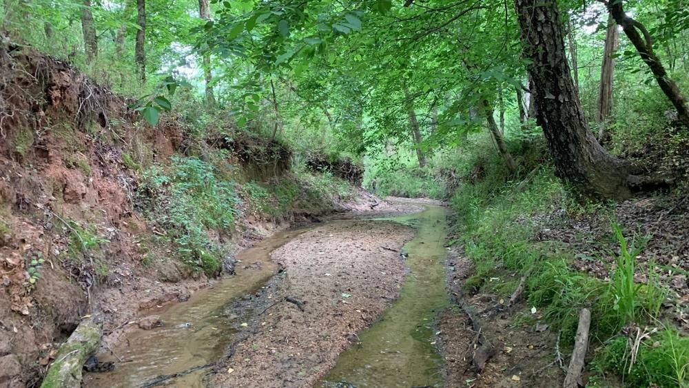 Elberton, Elbert County, GA Recreational Property, Timberland Property