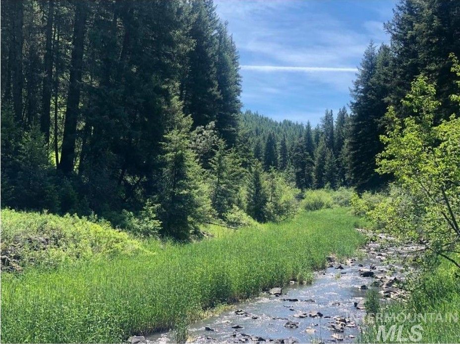 Craigmont, Lewis County, ID Undeveloped Land for sale Property ID