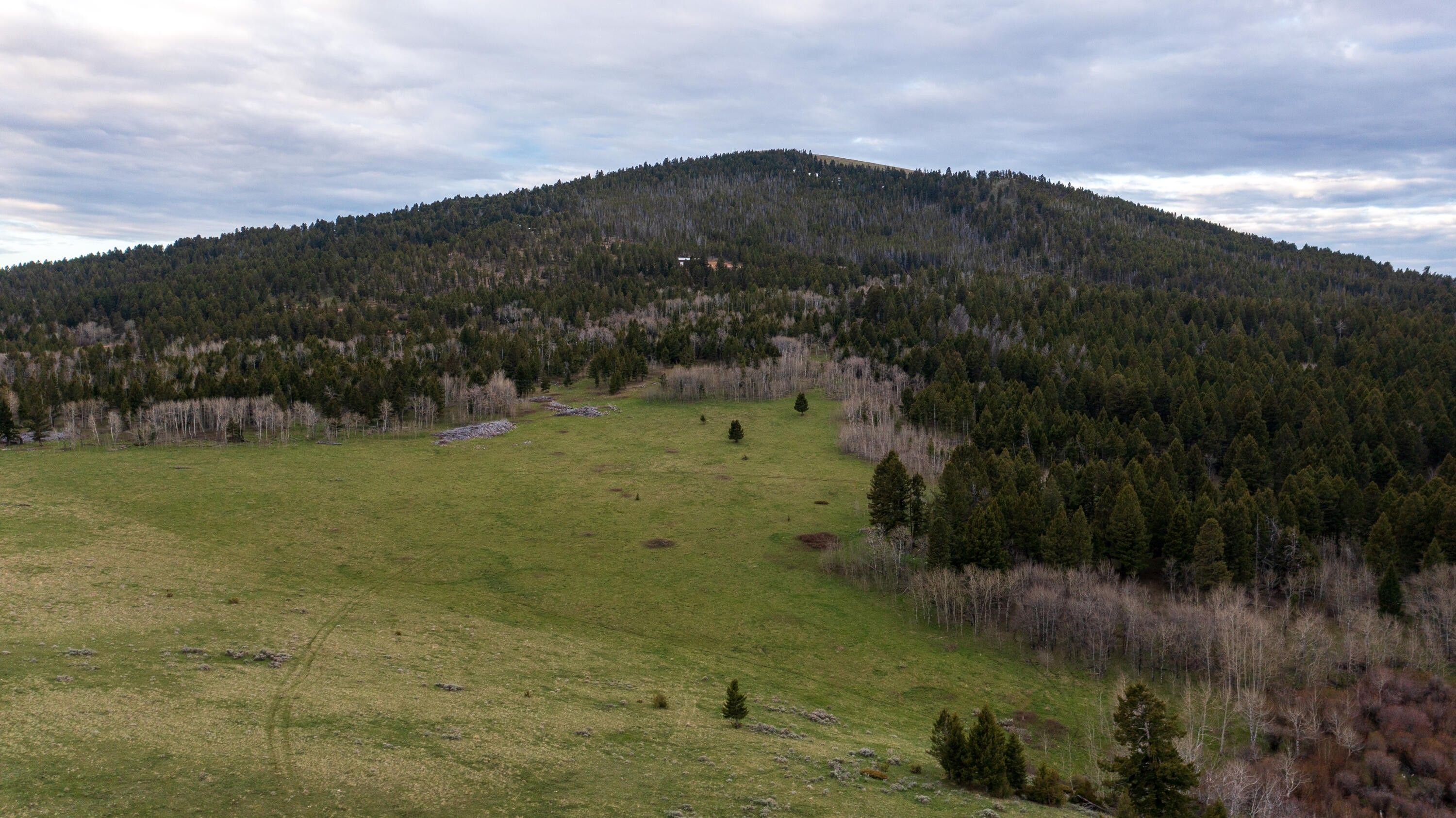 Townsend, Broadwater County, MT Farms and Ranches for sale Property ID