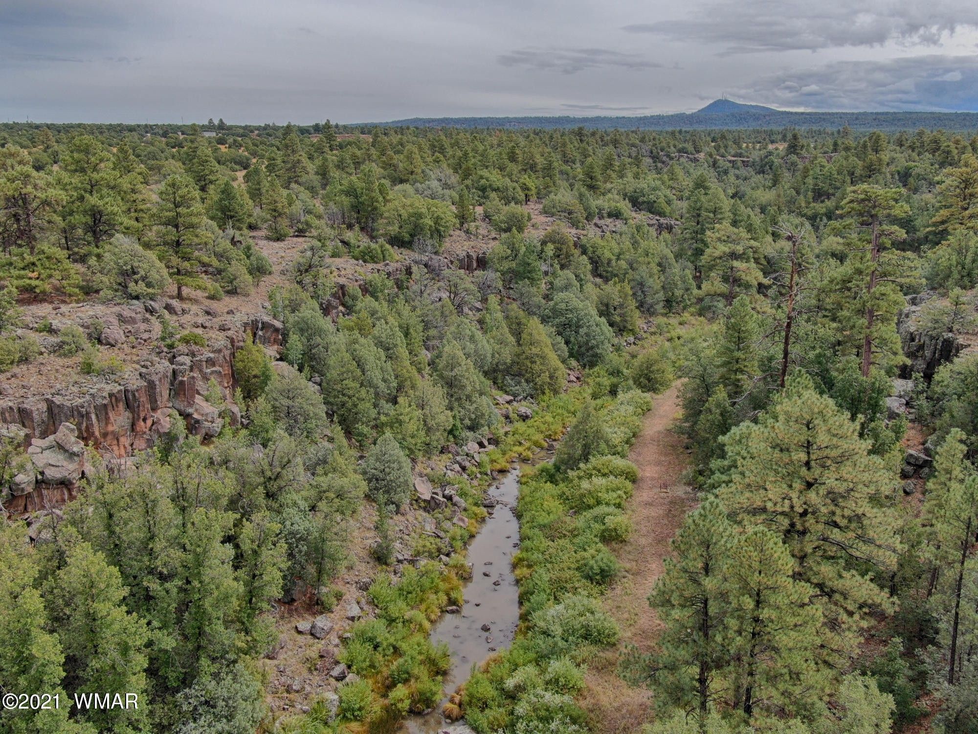 Show Low, Navajo County, AZ Lakefront Property, Waterfront Property