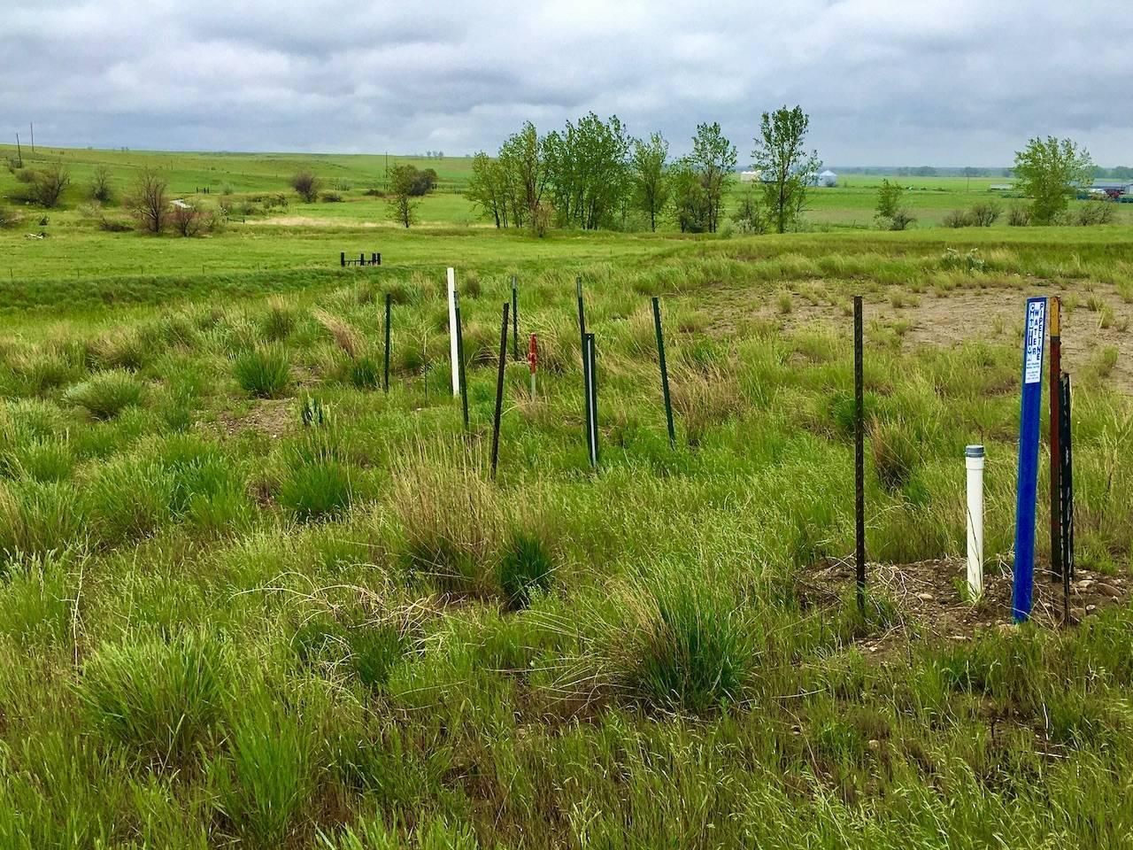 Nashua, Valley County, MT Recreational Property, Hunting Property