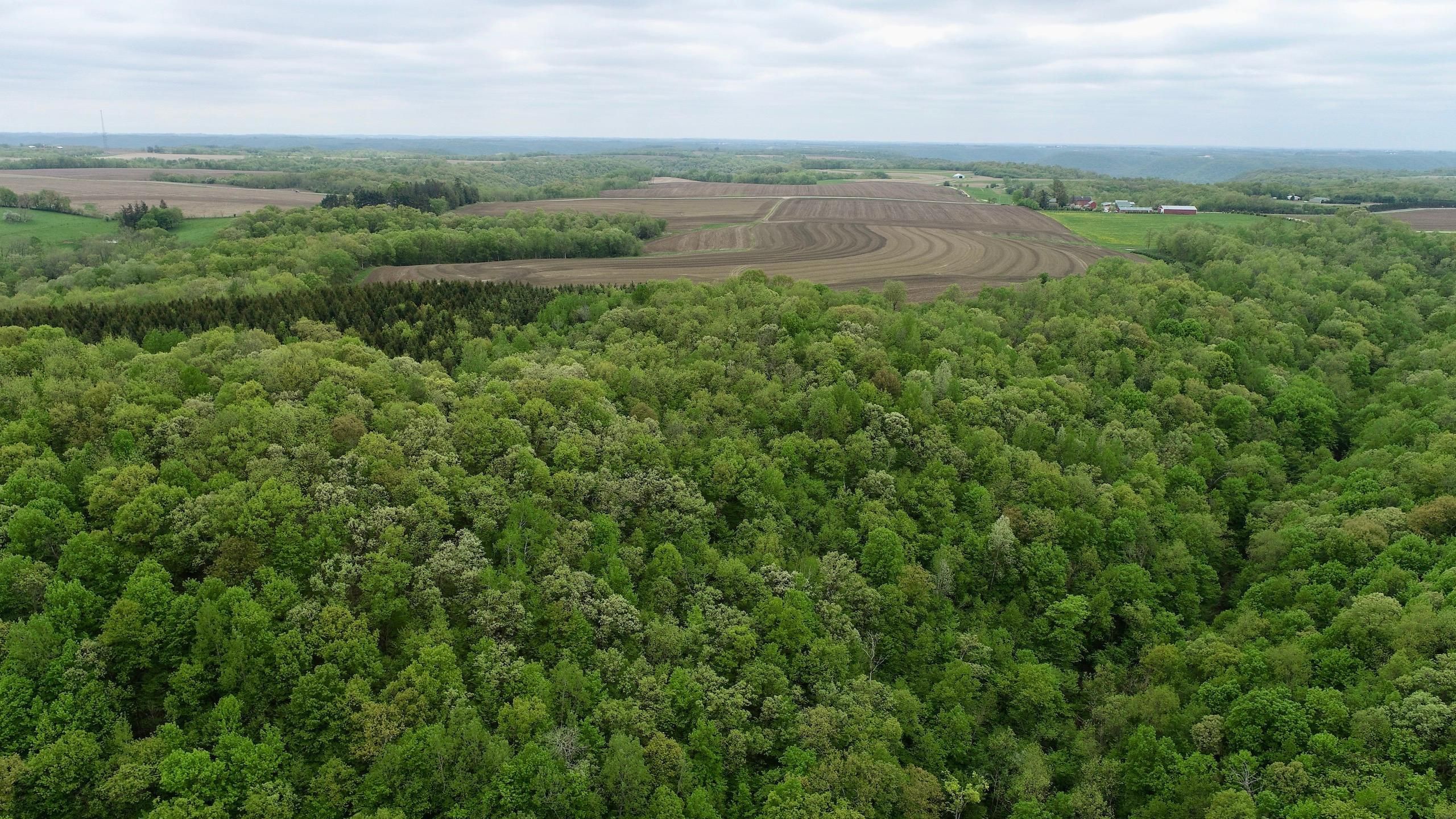 Houston, Houston County, MN Recreational Property, Hunting Property for