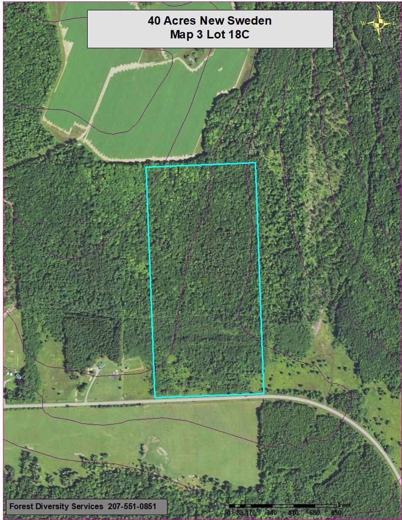 New Sweden, Aroostook County, ME Timberland Property, Undeveloped Land