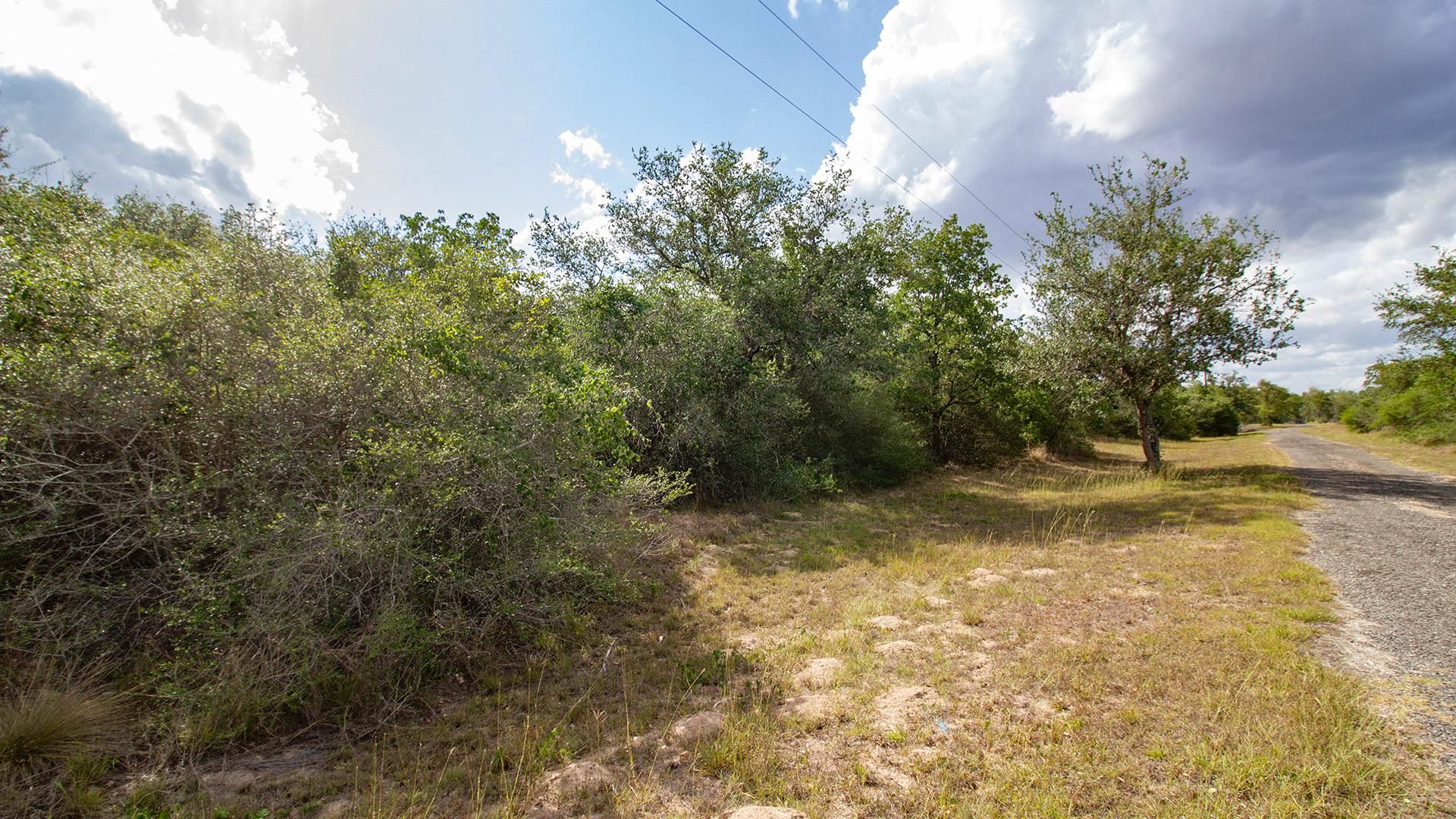 Goliad, Goliad County, TX Farms and Ranches, Undeveloped Land for sale
