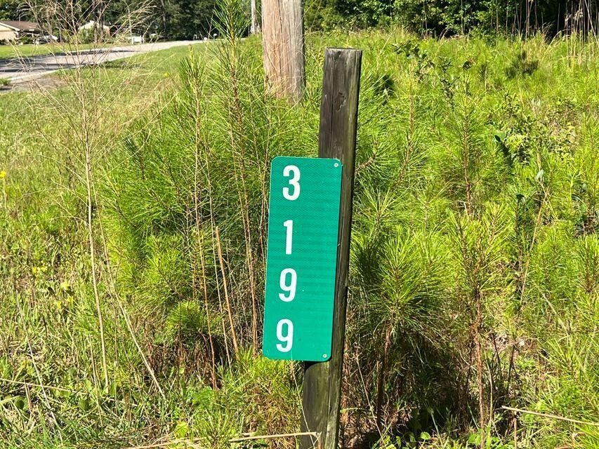 Brunson, Hampton County, SC Lakefront Property, Waterfront Property