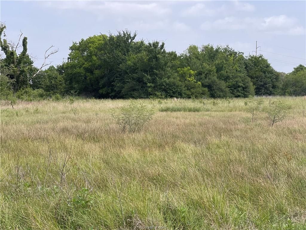 College Station, Brazos County, TX Farms and Ranches, Recreational