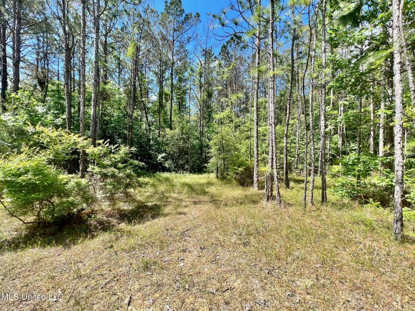 Brandon, Rankin County, MS Undeveloped Land, Hunting Property for sale