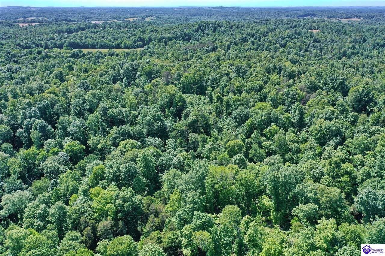 Edmonton, Metcalfe County, KY Undeveloped Land, Lakefront Property