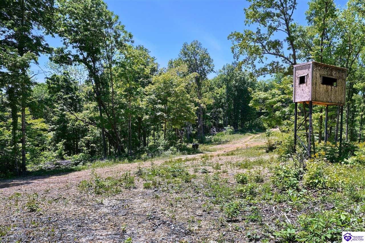 Edmonton, Metcalfe County, KY Undeveloped Land, Lakefront Property